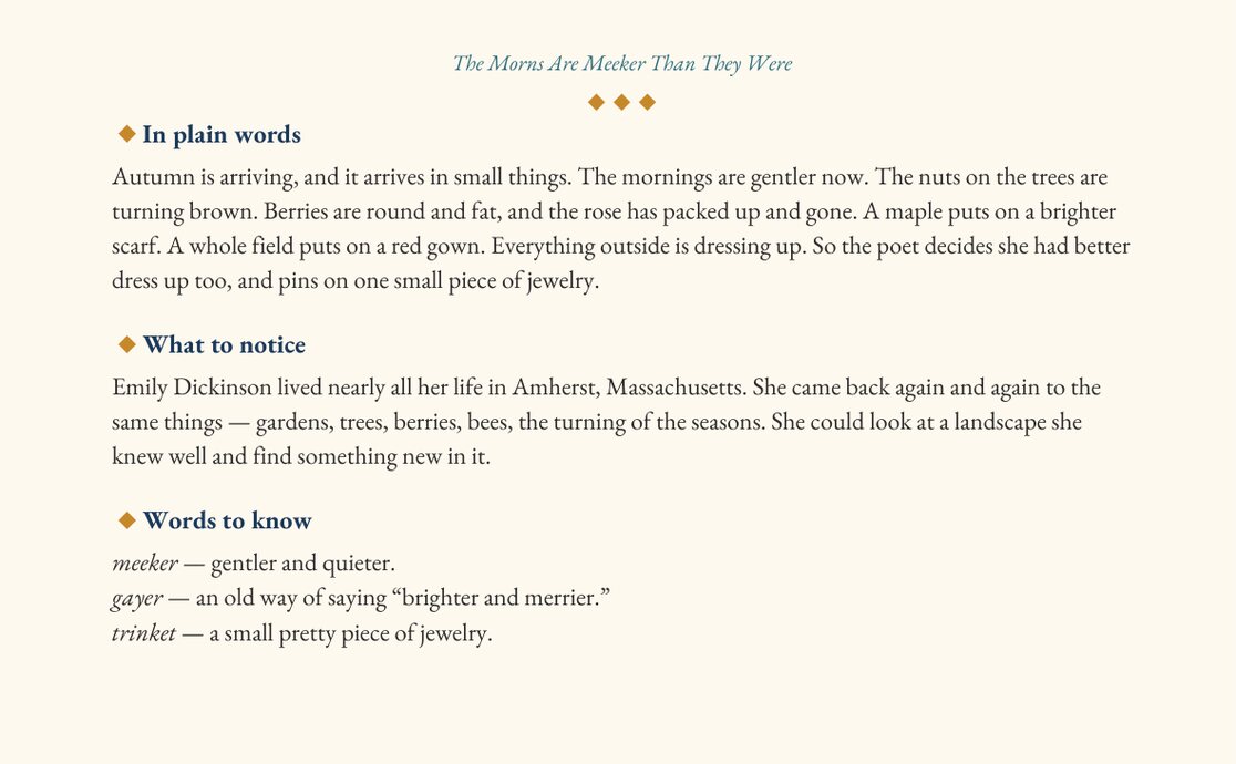 A sample explanation page with sections titled In plain words, What to notice, and Words to know.
